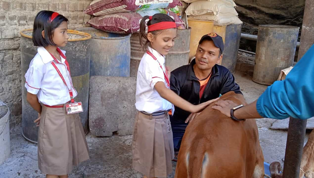 A field trip to a Gowshala in Wahal