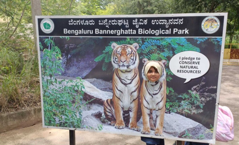 Our IB PYP Grade 3 students went on an interesting field trip to the Bannerghatta Zoological Park